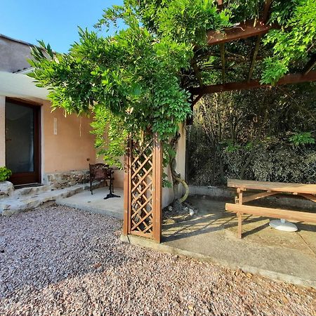 Le Lodge Des Chenes Brousses-et-Villaret Exterior photo