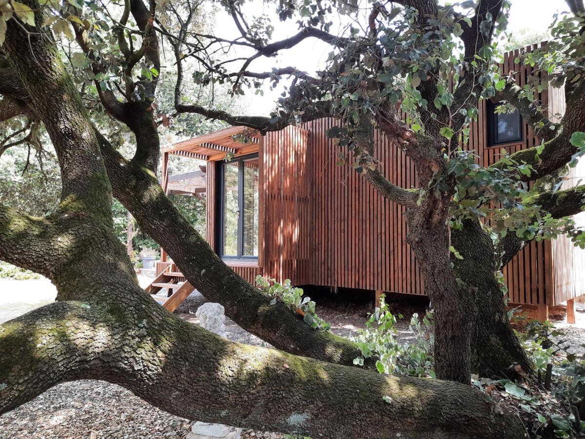 Le Lodge Des Chenes Brousses-et-Villaret Exterior photo