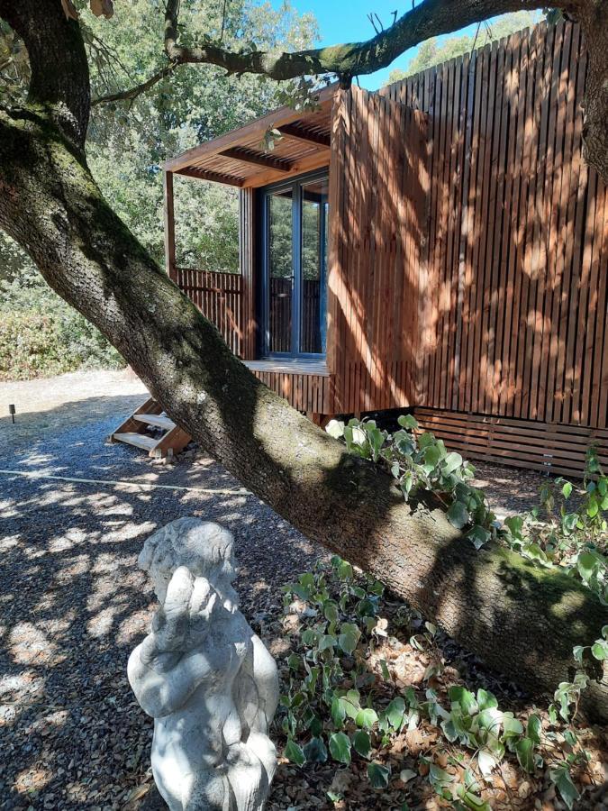 Le Lodge Des Chenes Brousses-et-Villaret Exterior photo