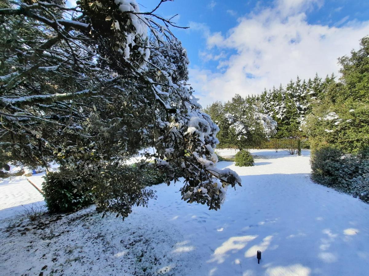 Le Lodge Des Chenes Brousses-et-Villaret Exterior photo